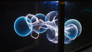 Побег AI-песочницы: какие журналы нужны до первого инцидента